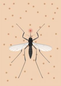 fliegengitter-mosquito